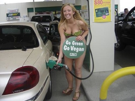 gas pump girls. gas pump girls.